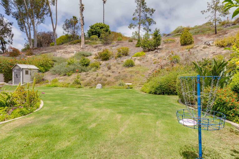 backyard hill backyard hill